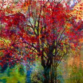 Painting of Red Autumn Tree