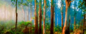 Deep Forest Dawn - Fine Art Print