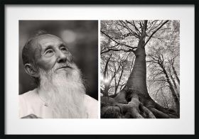 Daiki - portrait of elderly man with fascinating old tree