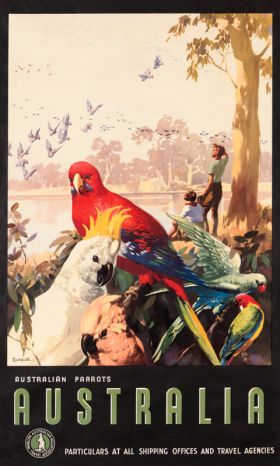 Australian Parrots - Vintage Travel Poster by James Northfield